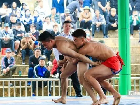 Người dân đội mưa xem vật tự do, truyền thống ở Hà Nội