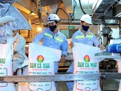 Sau năm lãi kỷ lục, Đạm Cà Mau lên kế hoạch lợi nhuận năm 2023 đi lùi