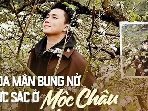 Mộc Châu trở thành điểm siêu hot dịp đầu xuân với những cây hoa mận phủ trắng núi đồi