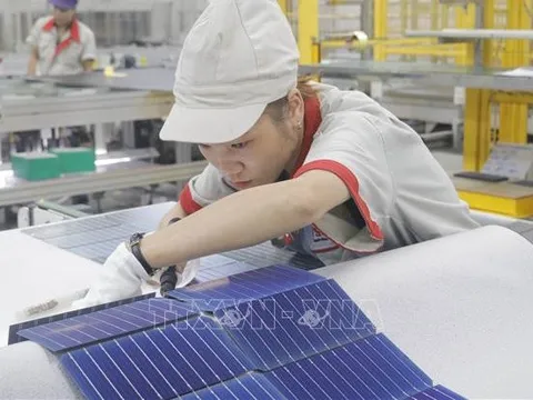 Nhiều doanh nghiệp Nhật Bản có kế hoạch mở rộng đầu tư tại Việt Nam