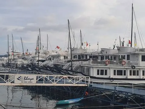 Số liệu khách du lịch Quảng Ninh được thống kê theo kiểu bốc thuốc?