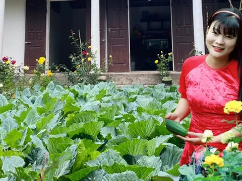 Cải tạo mảnh sân trước nhà, mẹ đảm trồng vườn rau sạch, nhìn là thấy bình yên