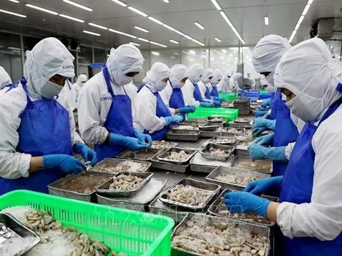 Nhiều dư địa cho hàng Việt Nam sang thị trường Âu-Mỹ