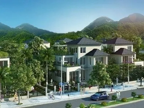 Vinaconex ITC báo lãi sau 5 năm lỗ liên tiếp