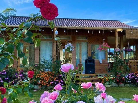 Ngôi nhà gỗ 40m² đẹp như cổ tích giữa hoa cỏ và mây trời ở Lâm Đồng