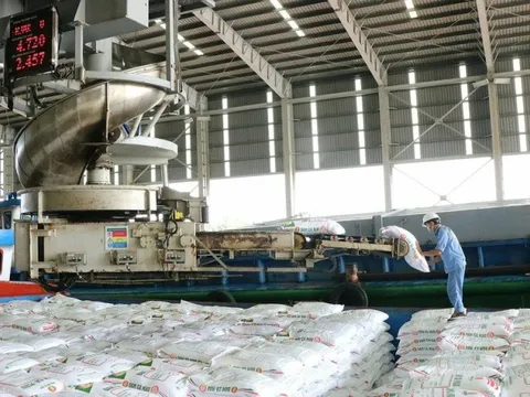 Năm thắng lớn của doanh nghiệp phân bón