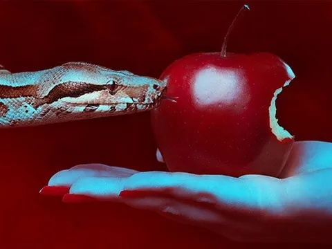 Cách Apple xây dựng tuyến phòng thủ bí mật đến FBI cũng khó xâm nhập: Yêu cầu nhân viên phải sửa nhà, 'tẩy não' cả người thân để đảm bảo tính bảo mật