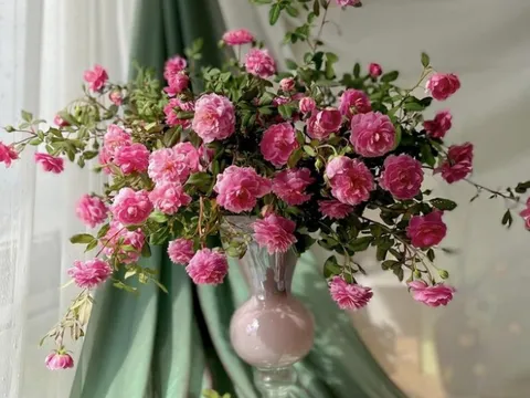 9x Hà thành gợi ý cách cắm hoa hồng vạn người mê ngày Valentine