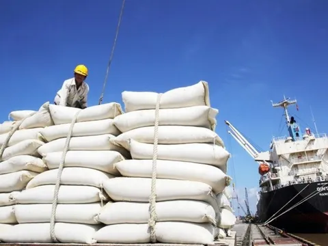 Doanh nghiệp ngành gạo năm 2022: Người thắng lớn, kẻ hụt hơi