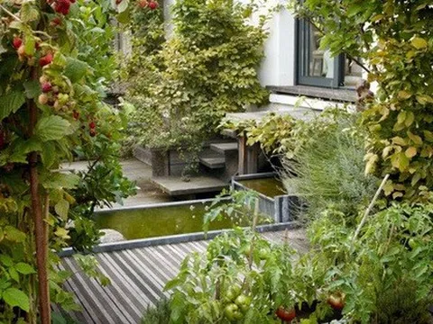 Khu vườn trên mái xanh mướt với tầm nhìn thẳng ra tháp Eiffel