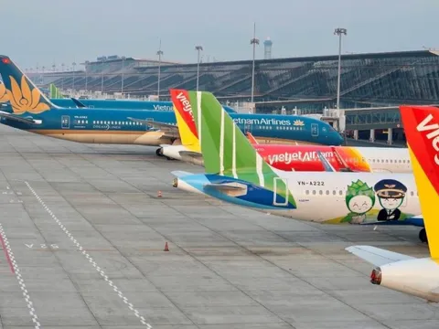 Bộ GTVT yêu cầu rà soát giấy phép kinh doanh vận tải của các hãng bay trong nước