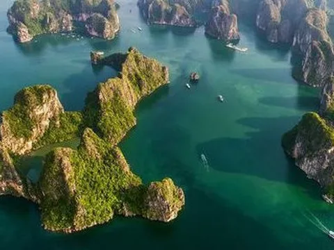 Du khách quốc tế ấn tượng sâu sắc hành trình trải nghiệm hạnh phúc ở Vịnh Hạ Long