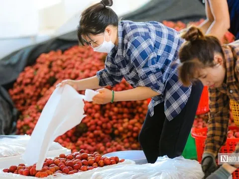 Cất tiếng nói chung cho nông dân, đem nền nông nghiệp nước nhà vươn xa