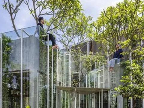 Mê mẩn ngôi nhà dùng dây leo làm nội thất như trong trong truyện cổ tích