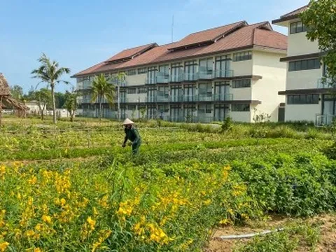 Đến resort trải nghiệm trồng rau, nuôi gà