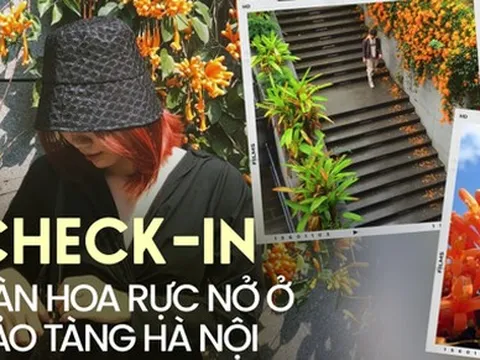 Những "đốm lửa" rực nở ở Bảo tàng Hà Nội tạo thành góc sống ảo mộng mơ hút chân giới trẻ đến check-in