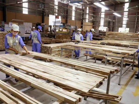 Nhìn lại năm 2022 đầy biến động trước đỉnh điểm khó khăn của ngành gỗ