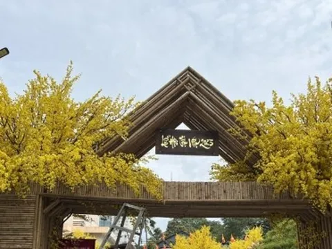Chủ tịch Vietravel: 'Ngành du lịch TP.HCM thụt lùi 10 năm'