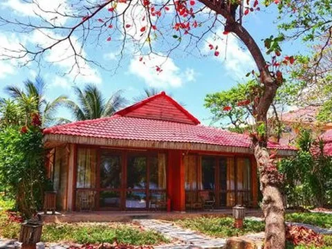 Đầu năm đi du lịch Côn Đảo đừng lo hết phòng, đây là những khách sạn giá giảm sâu, dịch vụ tốt bạn nên chọn