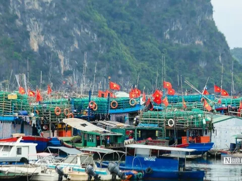 180 ngày hành động chống khai thác IUU, sớm gỡ "thẻ vàng" trong năm 2023