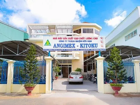 Chưa đầy 1 năm thành lập, công ty con của Angimex bất ngờ bị giải thể