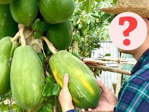 Không chỉ Siu Black, 1 nam diễn viên Vbiz cũng về quê nuôi vịt giờ có cuộc sống ra sao?