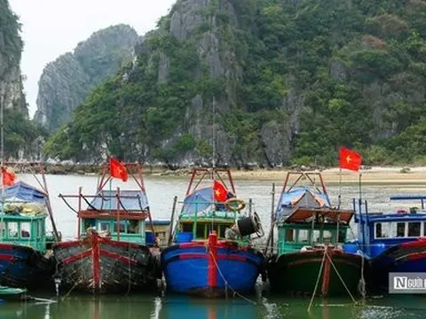 Gỡ "thẻ vàng" EC: Quản lý tàu cá vi phạm vùng biển nước ngoài là bài toán lớn