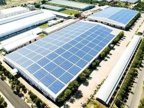 Bị đưa vào danh sách chậm trả lãi trái phiếu, BCG Energy lên tiếng