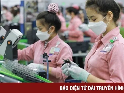 Thách thức thuế tối thiểu toàn cầu với Việt Nam
