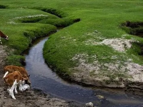 Con sông hẹp nhất thế giới 'lạ' ra sao: Dài 17km nhưng chỉ rộng 4cm ở đoạn hẹp nhất, tồn tại từ 10.000 năm trước