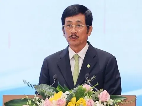 Tài khoản tiền mặt của các dự án Novaland sở hữu đang bị tạm khoá