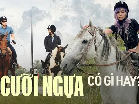 Đến tận nơi xem học cưỡi ngựa: Tốn tiền triệu nhưng vẫn chưa đủ, liệu có quý tộc và thanh cảnh như lời đồn?