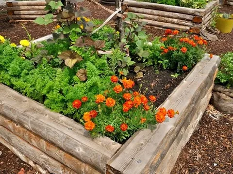 8 ý tưởng thiết kế không gian sân vườn cho ngôi nhà ở ngoại ô