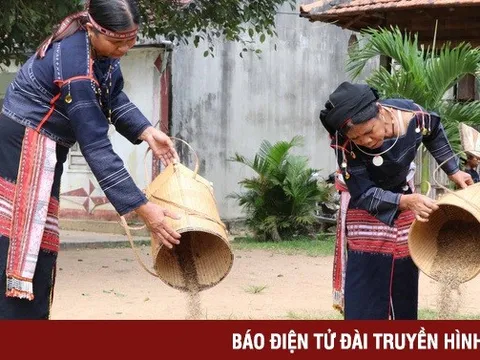 Hơn 11.000 tỷ đồng phát triển Tây Nguyên