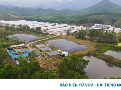 Cận cảnh Dự án chăn nuôi ở Sơn Động để vỡ đường ống nước thải gây ô nhiễm môi trường