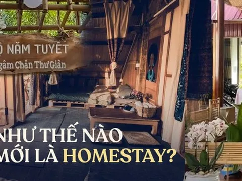 Câu chuyện homestay đầu tiên tại ấp Thiềng Liềng, Cần Giờ: Liệu nhiều người có đang hiểu sai về hình thức lưu trú đặc biệt này?