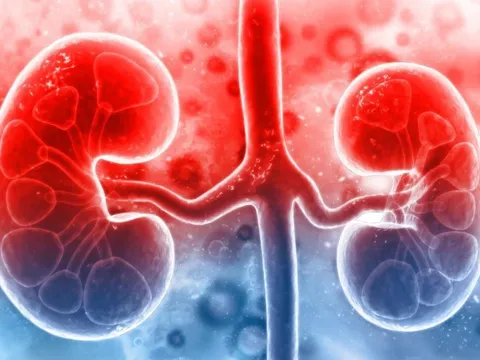 2 quả thận “kêu cứu” vì nhiều người có 8 thói quen này