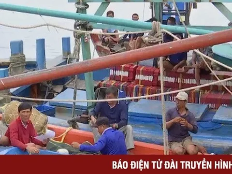 Việt Nam nỗ lực gỡ thẻ vàng thủy sản
