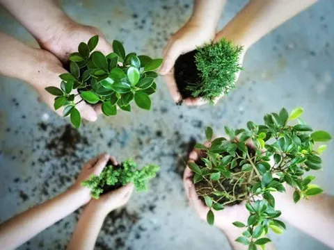 Người trẻ trải nghiệm tái chế túi vải, đồ gỗ, lan tỏa lối sống xanh