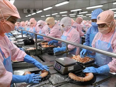 Thúc đẩy quan hệ phát triển kinh tế, thương mại, đầu tư tại bang Nam Australia
