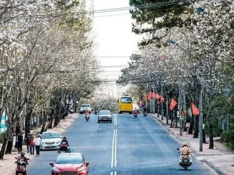 Du lịch Đà Lạt mùa nào đẹp nhất ?