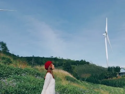 Những điểm check-in đẹp nhất khi đến Đà Lạt mùa xuân