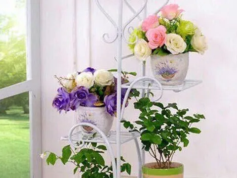 5 mẫu kệ giúp bạn chỉ vài phút là tối ưu không gian trồng cây trong nhà