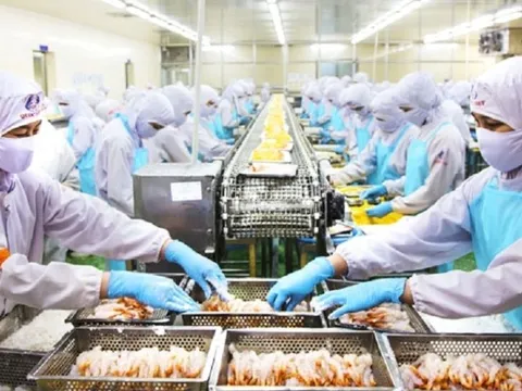 Đằng sau con số gần 52 nghìn doanh nghiệp ngừng hoạt động