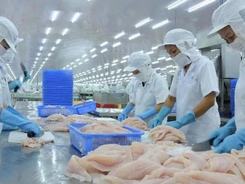 TS. Nguyễn Đình Cung: Cần nhìn thực trạng nhiều doanh nghiệp đang mất đơn hàng
