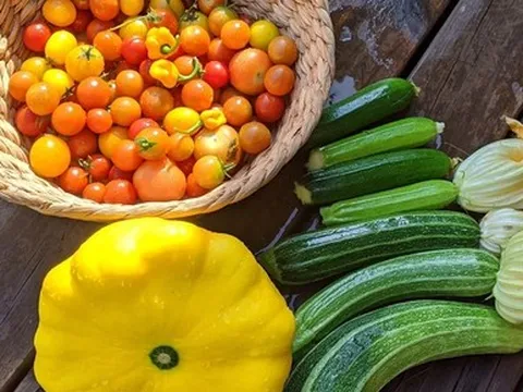 Bà mẹ trẻ biến khoảng sân nhỏ biến thành khu vườn đủ loại rau sạch tốt tươi