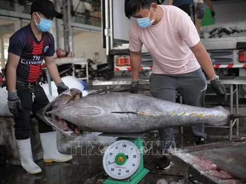 Dự kiến tổng số thuế và tiền thuê đất được gia hạn khoảng hơn 100.000 tỷ đồng