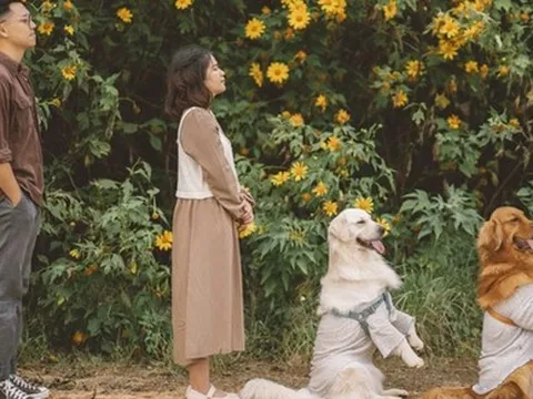 Cầm 180 triệu về Đà Lạt mở quán cafe: Nhà cửa có sẵn, thu nhập tăng một nửa nhưng không được phép quên 3 điều!