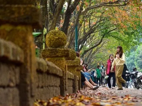 'Con đường tình yêu' ngập lá vàng hút hồn giới trẻ Hà Nội