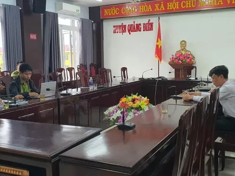 Rừng ngập mặn bị san ủi ở Thừa Thiên-Huế: Đình chỉ thi công dự án